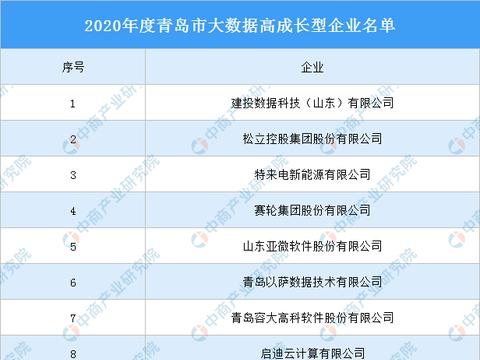 2020年度青島市大數(shù)據(jù)高成長(zhǎng)型企業(yè)名單發(fā)布，數(shù)據(jù)處理與存儲(chǔ)服務(wù)引領(lǐng)行業(yè)風(fēng)向